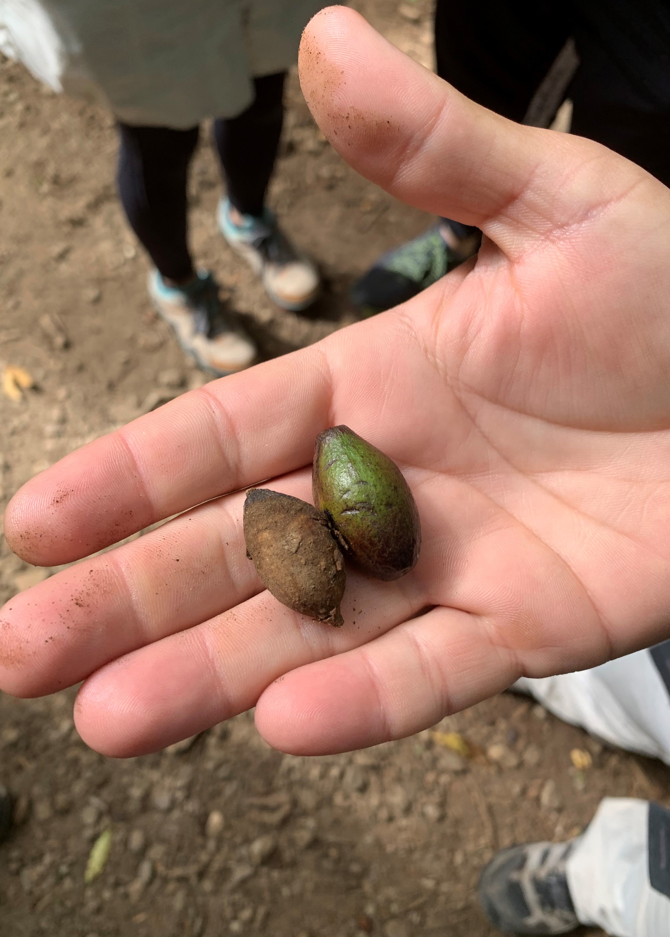 Costa Rica
